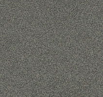 Interface Polichrome Stipple 4265005 Moonrock фото 1 | FLOORDEALER
